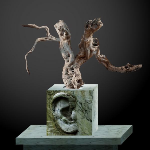 Creation of A Silent World: Step 9